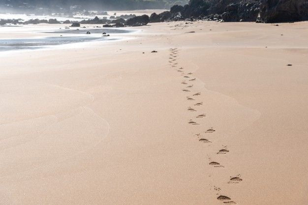Perché a settembre le scarpe di sempre sembrano di un numero in meno.